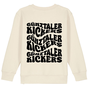 Neu: Sweater Wavy Kids